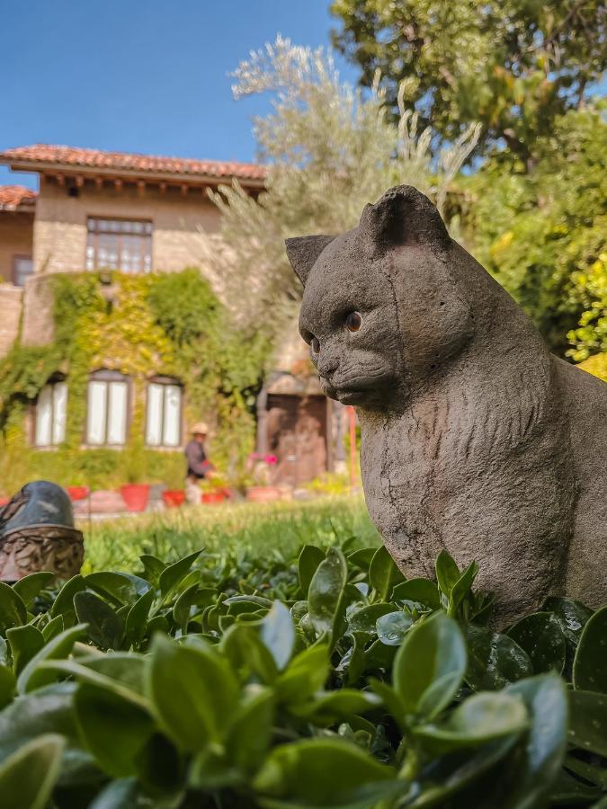 Casa Liza Bed & Breakfast San Miguel de Allende Exterior photo